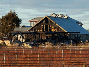 An Abbotsford barn containing a medical marijuana grow-op went up in smoke this week.