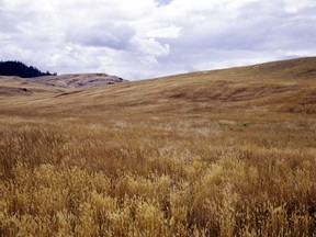 Chilcotin sounds inspire Music for A New Wilderness