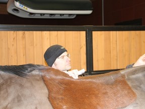 Whistler vet Dr. David Lane performs acupuncture on a horse.