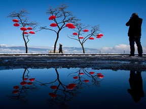 A man photographs umbrellas suspended from trees at Spanish Banks Beach in Vancouver, which was still covered in a layer of snow on Tuesday.