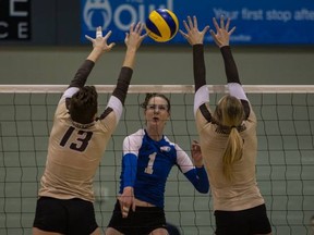 UBC Thunderbirds middle Abbey Keeping goes for the kill Sunday during the CIS women’s volleyball championship final against the Manitoba Bisons, played at the University of Regina. (Photo – Michael P. Hall, CIS)