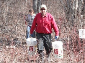 Farmer Ted Traer collects birch sap at Moose Meadows Farm in Quesnel.