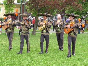 Bring the family down to the Annual Collingwood Days Festival and enjoy an old fashion fair with a multicultural flair