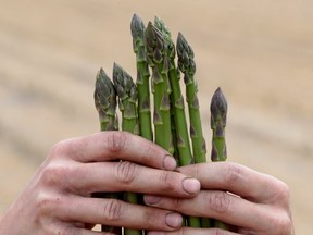 You'll find asparagus and other spring produce at farmers' markets starting this month.