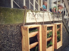 A group of kids check out the herb planters at the vertical garden at Strathcona Elementary.