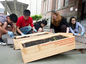 Morgan Xiao, Wayne Lam, Nancy Lu, Judy Kenzie and Vivian Ngo prepare planter boxes for a vertical garden at Strathcona Elementary in Vancouver.