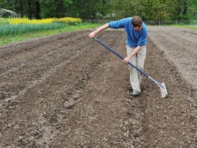 Andy Abrahams prepares a row for planting on his farm  in  Chilliwack.