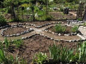 A scene from Vancouver's Strathcona Community Garden in May 2011.