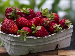 It's strawberry season. We look at the numbers behind one of B.C.'s big early summer cash crops.