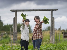 Harusa Sato, left, and Eva Snyder are members of The Sharing Farm in Richmond, which grows food for the needy in that city.