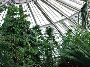 Inside Palm House