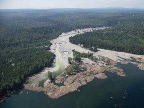 Contents from a tailings pond is pictured going down the Hazeltine Creek into Quesnel Lake near the town of Likely, B.C. on Aug. 5.