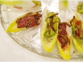 Mealworms: Nutritious, sustainable and delicious?  Shown here with endive and guacamole.