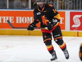 Canucks prospect Jordan Subban, here skating with his OHL Belleville Bulls team.  (Photo by Claus Andersen/Getty Images)