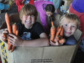 Trey Foreman (right) and Nathan Flegel sort carrots on God's Little Acre farm in Surrey.