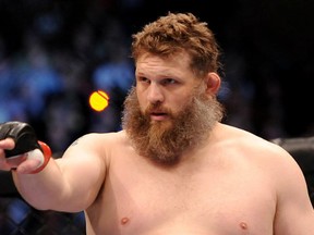 Roy Nelson