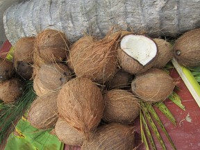 dry coconuts R Thomas