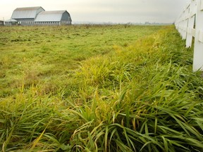 An Abbotsford group hopes council will create a task force to regulate non-farm uses of the ALR.