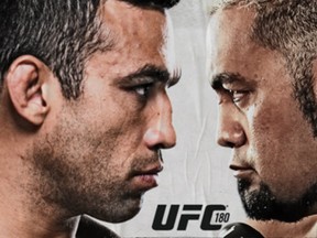 Fabricio Werdum Mark Hunt