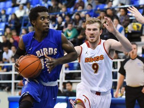 UBC Thunderbirds’ guard Kedar Wright (left) gets a stride on Calgary’s Josh Owen-Thomas during Canada West men’s basketball game played Satutday at War Memorial Gymnasium. UBC won 93-88 to split the weekend set with the No. 10-ranked Dinos. (Richard Lam, UBC athletics)