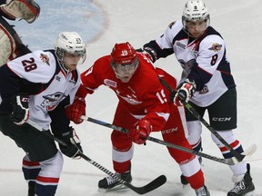 Jared McCann broke his hand..  (NICK BRANCACCIO/The Windsor Star)