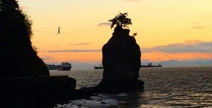 tightrope-walking-siwash-rock-stanley-park-984x500