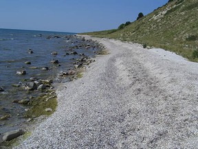 This is actually all mussels, not sand, on the shore of Lake Michigan. B.C. is hoping to avoid a similar environmental problem here. (Submitted, B.C. Ministry of Environment)