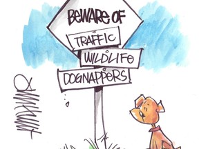beware traffic wildlife dog theft lori welbourne jim hunt-1