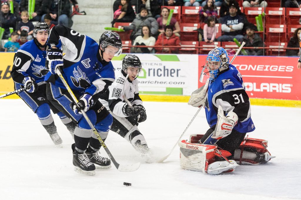 BLAINVILLE-BOISBRIAND, QC - JANUARY 31: Thomas Chabot #5 of the Saint John Sea Dogs takes control of a rebound left by goaltender Alexander Bishop #31during the QMJHL game at the Centre Excellence Rousseau on January 31, 2015 in Blainville-Boisbriand, Quebec, Canada. (Photo by Minas Panagiotakis/Getty Images)