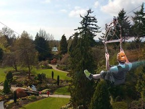 queen-elizabeth-park-zipline-960x500