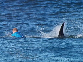 A shark goes after pro surfer Mick Fanning Sunday in South Africa.