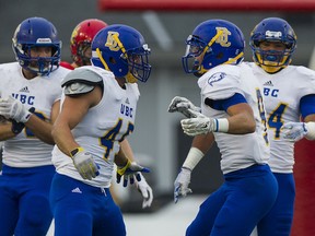 UBC’s Mitch Barnett (second from right) celebrates a sack with teammate Riley Jones during last Friday’s road loss to the Calgary Dinos. UBC looks to get back on the winning track in its home opener, Saturday against Regina. (Photo — Richard Lam, UBC athletics)