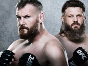 Josh Barnett Roy Nelson