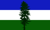 Doug Flag Cascadia