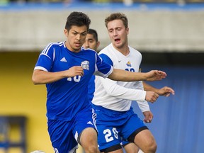 Now in his third season with the UBC Thunderbirds, attacking midfielder Sean Einarsson has grown into the leading goal scorer on an undefeated team that is  ranked co-No. 1 in the CIS heading into the playoffs. UBC hosts Saskatchewan in the Canada West quarterfinals on Friday at Thunderbird Stadium. (Photo — Richard Lam, UBC athletics)