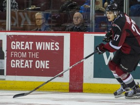 Jackson Houck plays against the Prince George Cougars during the third period of a regular-season WHL game at the Pacific Coliseum in Vancouver, B.C. Sunday October 25, 2015.   (Photo by Ric Ernst/ PNG)