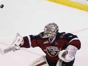 Payton Lee made 23 saves Sunday night for the Vancouver Giants in a 4-1 loss to the Tri-City Americans on Sunday at the Pacific Coliseum. Vancouver's dropped six straight. (Getty Images File.)