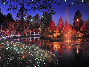 The Festival of Lighits delights visitors to VanDusen Botanical Garden in Vancouver each year.