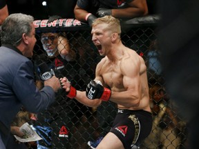 T.J. Dillashaw