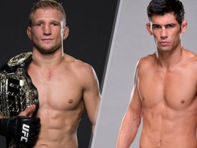 TJ Dillashaw Dominick Cruz