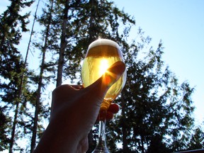 Persephone Keller Pilsner at Painted Boat Resort, BC craft beer