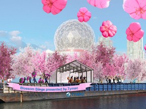 vancouver-cherry-blossom-barge-912x500