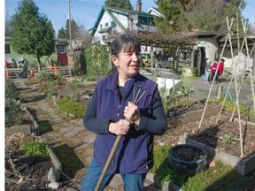 According to Sharon Slack, head gardener at City Farmer: ‘It’s not about how much money I can save, but how much food I can grow.’