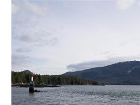 Lelu Island is the site of a proposed multibillion-dollar liquefied natural gas (LNG) plant in northern B.C.