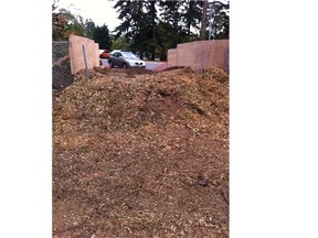 A short stretch of road, covered with wood chips, which needed a $1,200 engineering report.