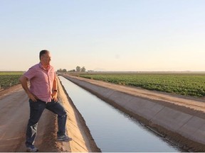 Captiva Verde CEO Jeff Ciachurski looks over his fields in California’s Imperial Valley, one of three desert locations where the firm grows organic produce.