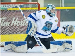 Chase Perry leads the Wenatchee (Wash.) Wild into the BCHL playoffs in their first year in the league. 
 — Garrett James Photography