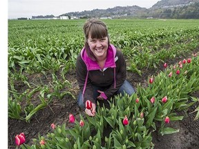 Alexis Warmerdam is all smiles as she prepares for the first blooming of tulips at the family farm in Abbotsford. She is helping arrange the first tulip festival this year.