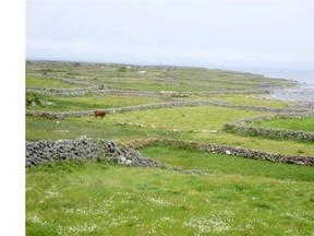 Limestone walls are a common sight on Inishmore, the largest of the Aran Islands in Ireland’s Galway Bay. Lance Hornby/Toronto Sun