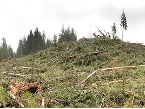 FILE PHOTO: A forestry contractor working with TimberWest on northern Vancouver Island has died while moving his equipment.